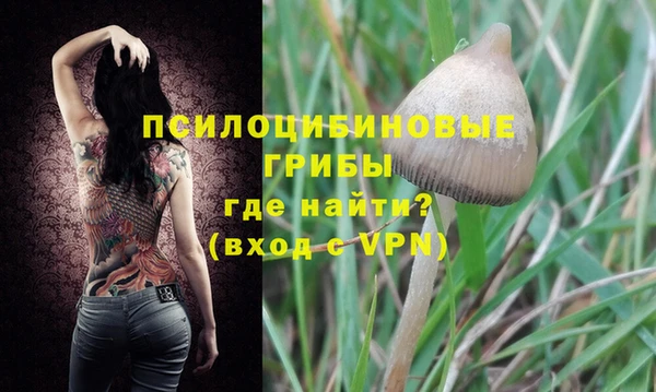 бошки Вязьма