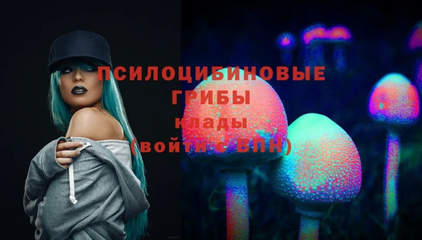 сатива Бугульма
